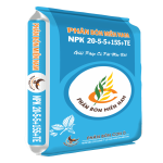 Test Đẹp trai