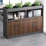 Tủ Tài Liệu Gỗ Để Cây Xanh Hiện Đại - THS275
