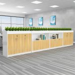 Tủ Tài Liệu Gỗ Để Cây Xanh Trang Trí Văn Phòng - THS260