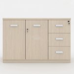 Tủ Gỗ Tài Liệu Thấp 2 Cánh 3 Ngăn - THS132