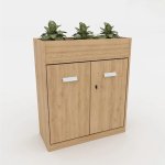 Tủ Tài Liệu Để Cây Xanh Trưng Bày - THS158