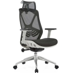 Ghế Công Thái Học Spider Đa Năng - CTH14