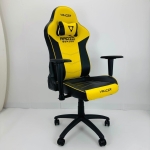 Ghế Gaming Chân Xoay RAPIO VRACER  - GM17