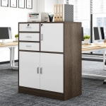Tủ Tài Liệu Gỗ Thấp Nhiều Ngăn Đa Năng - THS229