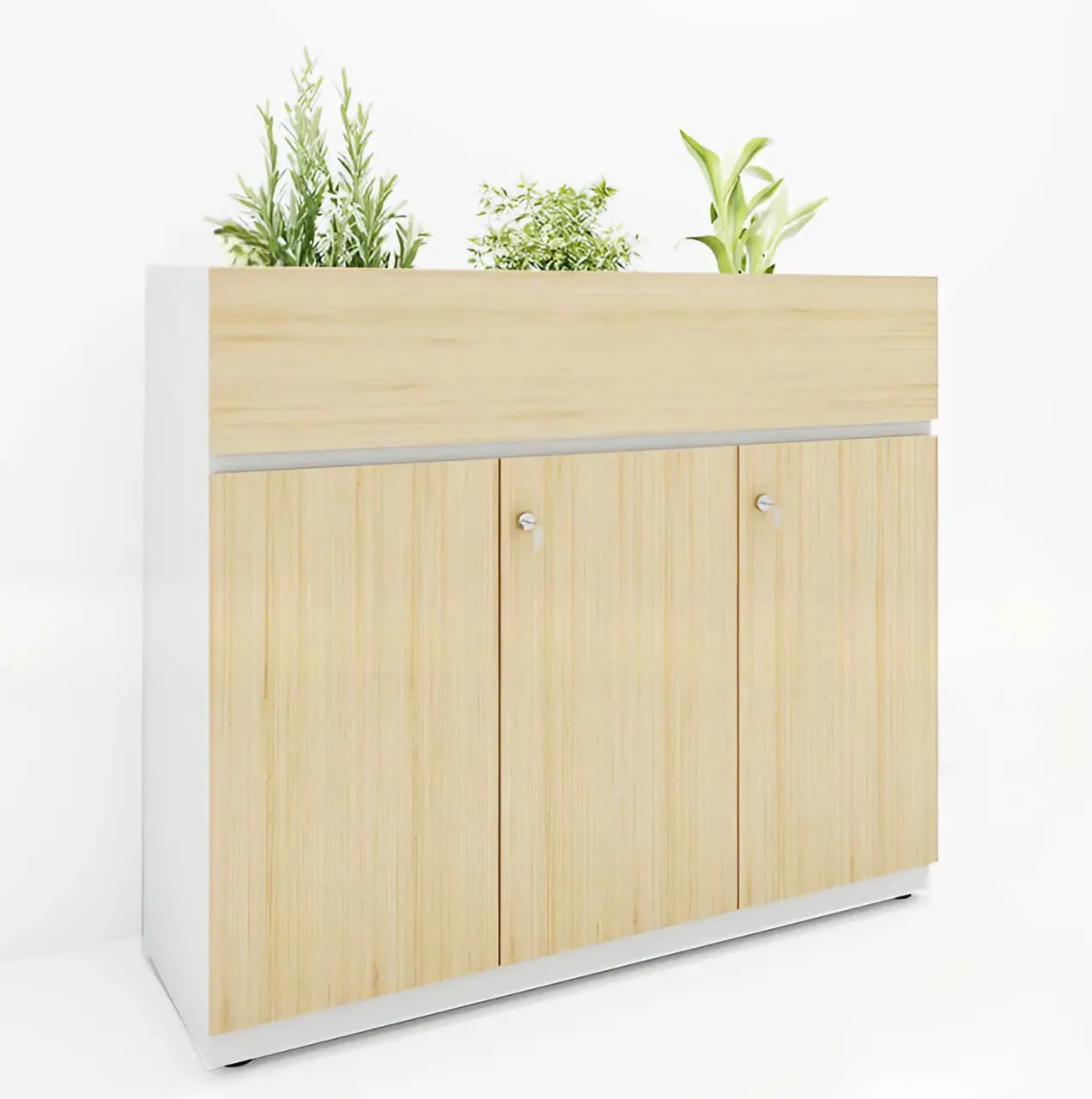Tủ Hồ Sơ Trang Trí Cây Xanh Văn Phòng - THS42