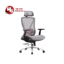 Ghế Công Thái Học Ergonomic - GX46