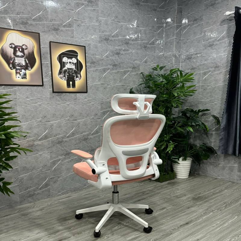 Ghế Văn Phòng Công Thái Học Hỗ Trợ Cột Sống - CTH24