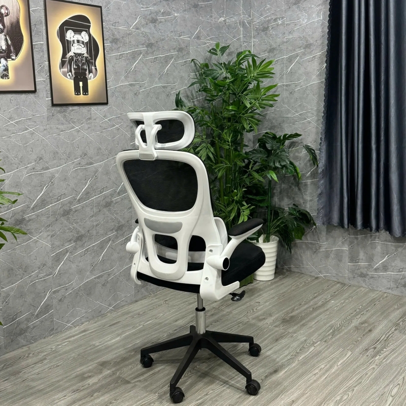 Ghế Văn Phòng Công Thái Học Hỗ Trợ Cột Sống - CTH24