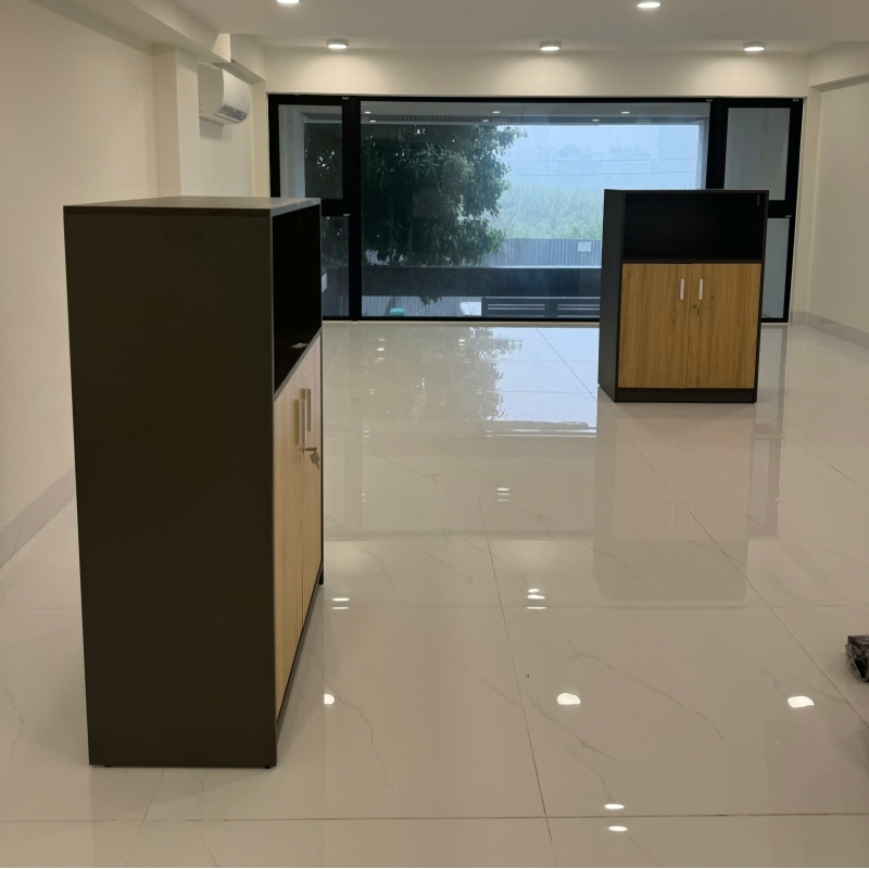 Tủ Tài Liệu Gỗ 2 Cánh Hiện Đại - THS255