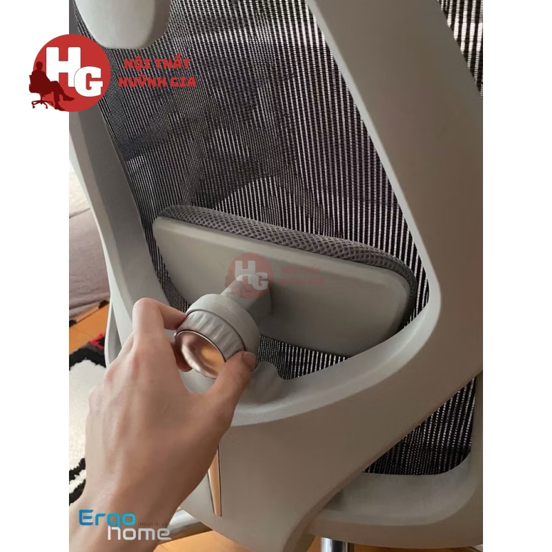 Ghế Công Thái Học Ergonomic - GX46